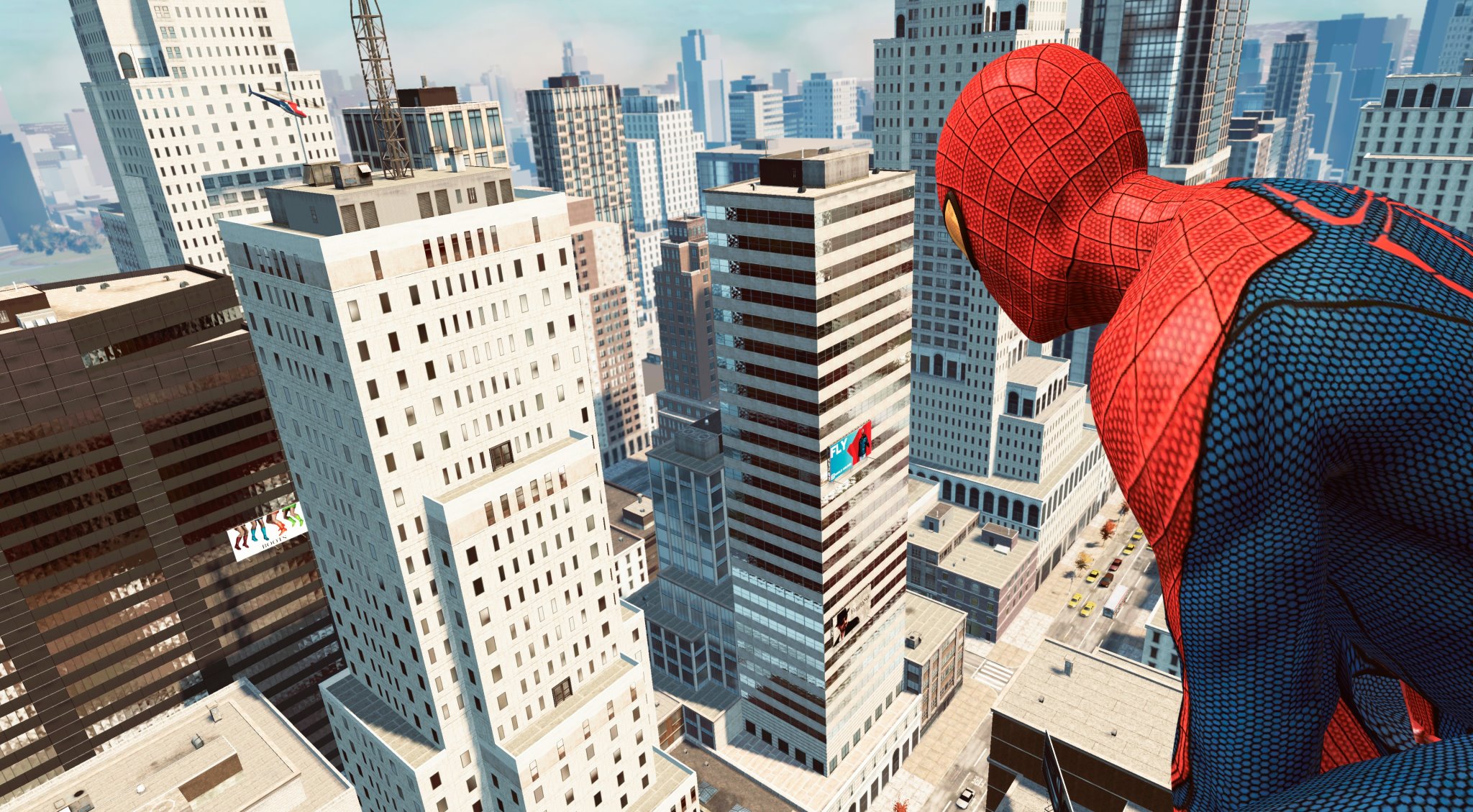 spider.jpg